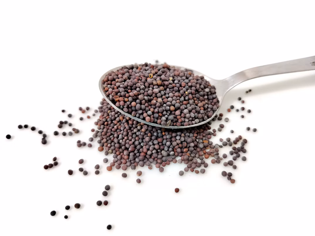 Black Mustard Seeds